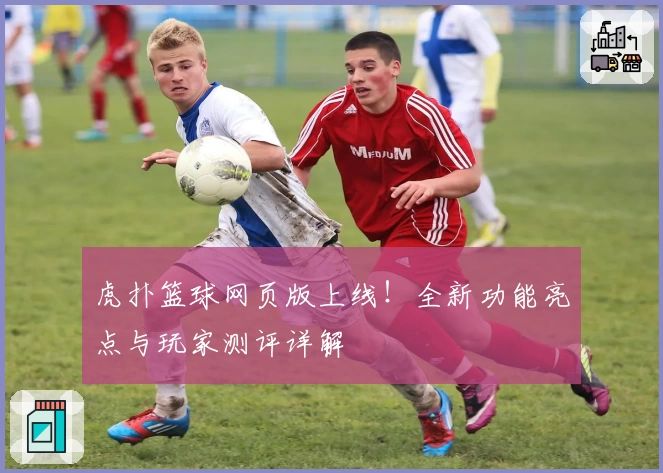 虎扑篮球网页版上线！全新功能亮点与玩家测评详解