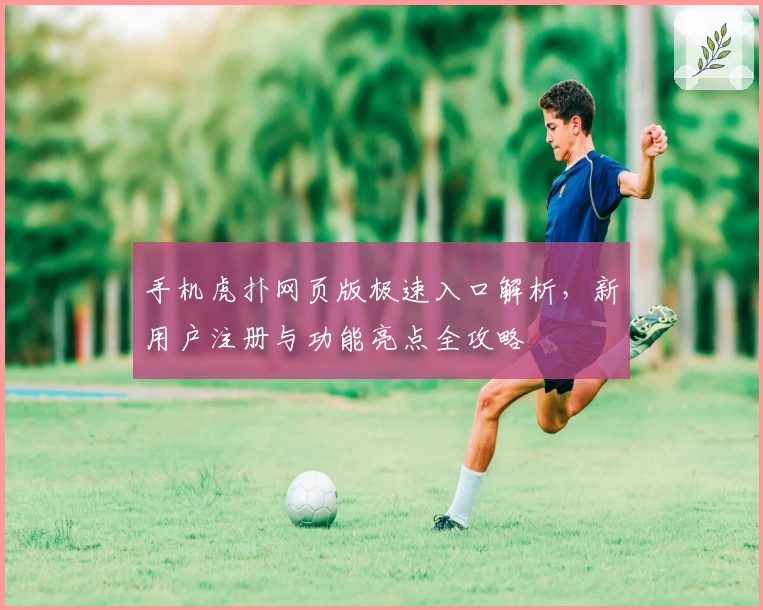 手机虎扑网页版极速入口解析，新用户注册与功能亮点全攻略